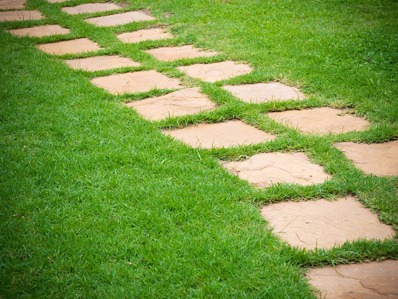 Concrete vs. Stone Pavers: Pros and Cons for Your Outdoor Project